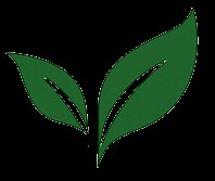 Tzenova — For Optimal Health & Vitality